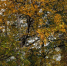 6f0db72f9a7eb03b4f0456833cfc19b7b17dd4d2.jpeg - Primorye24.Ru
