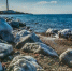 1bfbbbb1d79ff09051f21a508a878b2f0755eea8.jpeg - Primorye24.Ru