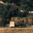342d979ddabd0e9f7b73ee63118908b8ac020972.jpeg - Primorye24.Ru