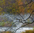 78e4aee227a7e4c9823b416c203b57d4acc2b2c5.jpeg - Primorye24.Ru