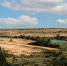 7856325896.jpg - Primorye24.Ru