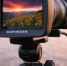 2cc27582c63fd746d5f63e8803ac5a3ae595b9b2.jpeg - Primorye24.Ru
