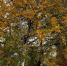 418fc2efa37cafc9490e6f73aeb1771b499fe726.jpeg - Primorye24.Ru