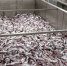 За неделю из Приморья на экспорт отправили более 16 тысяч тонн морепродуктов - КП Владивосток