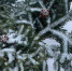 0d758ba8ccb9b39142fe0d470c534f5d60c1506d.jpeg - Primorye24.Ru