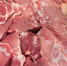 Роспотребнадзор Приморья провел 917 исследований мясной продукции за три месяца - КП Владивосток