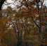 6caf1fd45c36a6471640f5b136bd320b50db06dc.jpeg - Primorye24.Ru