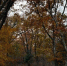 08cf93f5178888b87bbf01f5dcd25bc7072d6a25.jpeg - Primorye24.Ru