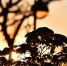 d1d0190b221cdbceda167f066fcb3d6eaf7b5346.jpeg - Primorye24.Ru