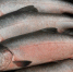 1839f2121df7e41fd2702602ab741db79fb00d69.jpeg - Primorye24.Ru