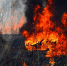a028a1b66b0d4d2de0b538cc75b0b607308517ed.jpeg - Primorye24.Ru
