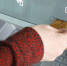 173134e8489dc31340b069554d134a351d87a495.jpeg - Primorye24.Ru