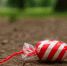 cf38b104e607fbeee11c92f6236bec734bbda3e4.jpeg - Primorye24.Ru