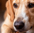 ecc16af6bab7236eb104d2993fedc72f76cf07ca.jpeg - Primorye24.Ru