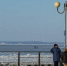 bee068ddfaf70a9fabdadf1b0237fc3393d110f8.jpeg - Primorye24.Ru