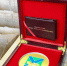 d7d29279786587c0be61784aef72becba8fb3802.jpeg - Primorye24.Ru