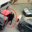 Полиция ищет водителя внедорожника, напавшего на женщину во Владивостоке: возбуждено дело - ГТРК Владивосток