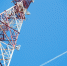 МТС расширила сеть LTE в горно-таежном поселке Восток - КП Владивосток