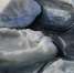 73a0daef3182cb1a8f1b5bfa75a06d3440e7ae1a.jpeg - Primorye24.Ru