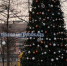 thumb_554373_news_xxxl.jpg - Primorye24.Ru
