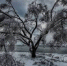 0736cd6a366ed490b65a6b702747fbf0fc9f8a20.jpeg - Primorye24.Ru