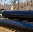 thumb_554465_news_xxxl.jpg - Primorye24.Ru