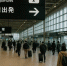 157b9d3d6a2c3d39f0e246f056cbbd59a0b70560.jpeg - Primorye24.Ru
