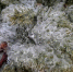 b180945c44490c4e8590cd2fa53e81f29ab5dcc7.jpeg - Primorye24.Ru