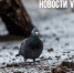 Сегодня во Владивостоке -4 °С и сильный ветер - NewsVl.Ru