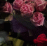 4ec30055d080a312d7158f854261466013a403e3.jpeg - Primorye24.Ru