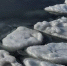12459479db9baa124144a495a1f05394d63c164e.jpeg - Primorye24.Ru