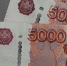 049f0c6d1fac64f84a8759f5e40bf74ecc1ffbe8.jpeg - Primorye24.Ru