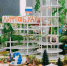 5291779534564822723.jpg - Primorye24.Ru