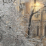 47852548.jpg - Primorye24.Ru