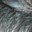 85a48b9c68b0c4fe29e3e5f93efbd748a165646e.jpeg - Primorye24.Ru
