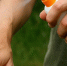 e59406d91bddc44d8ff252bb33adfe1846aa8e1d.jpeg - Primorye24.Ru