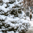 Сегодня во Владивостоке до -4 °С - NewsVl.Ru