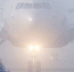 238790a394601318deb7cccba0dca4c9a1bab92d.jpeg - Primorye24.Ru