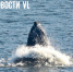 Во Владивостоке сегодня до +3 °С - NewsVl.Ru
