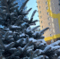 73470463cc507e21fb759501581fa79ca72288f9.jpeg - Primorye24.Ru