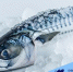 Импорт морепродуктов в Корею вырос на 5%: рост спроса на скумбрию и сардины - Газета Далекая окраина