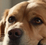 537bf40882fa7579197552a345aa15c9d244c53d.jpeg - Primorye24.Ru