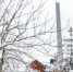 Сегодня во Владивостоке до -11 °C - NewsVl.Ru