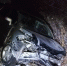 2195e51e69e9644a7311a320d0df8cf3fe213607.jpeg - Primorye24.Ru
