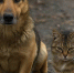 74151b1fce6a8fc3ce96697ad5c7d009a7ec8db5.jpeg - Primorye24.Ru