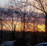 4786525.jpg - Primorye24.Ru