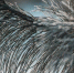 275a2c537b26a87912696a48a473cb022ff1c792.jpeg - Primorye24.Ru