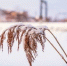 fe49528955168617a1a117d021b54b6741562749.jpeg - Primorye24.Ru