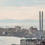 4748ac558b1e45b512de0be83c1d82a172c8bcf4.jpeg - Primorye24.Ru