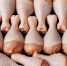 a691193aaf32cfb42478855998ee33f9e368ed57.jpeg - Primorye24.Ru